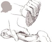 Håndkile i brug. Neandertal-menneskets værktøj, o- 80.000 f.Kr. – Faustkeil im Gebrauch, Geräte des Neandertalers, Altsteinzeit – Handaxe in use. Tool of Neanderthal. Palaeolithic-period
