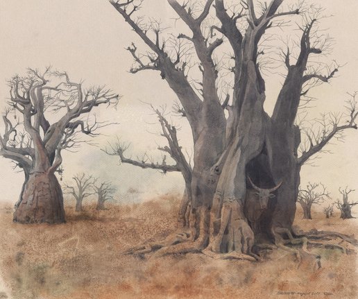 Hule-baobab, 2017 – Höhlen-baobab, 2017 – Cave-baobab, 2017