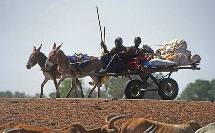 Æselkærre, Mali 2002 – Eselkarren, Mali 2002 – Donkey cart, Mali 2002