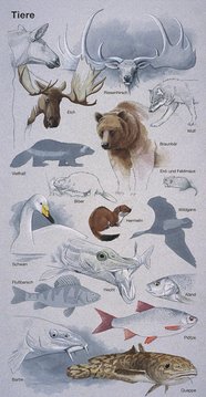Dyr, Palæolitikum – Tiere, Paläolithikum – Animals, Palaeolithic-period