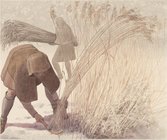 Høst af tagrør, sen bronzealder, Brandenburg – Schilfernte, Spätbronzezeit, Brandenburg – Reed harvest, Late Bronze Age, Brandenburg