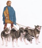 Mand med hundekobbel, kendes fra Ladbygraven – Mann mit Hundekoppel (aus Ladby-Grab) – Man with dog team, known from Ladby grave