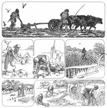 Markarbejde, fra pløjning til høst – Ackerarbeit, pflügen und Ernte – Field work, from ploughing to harvest